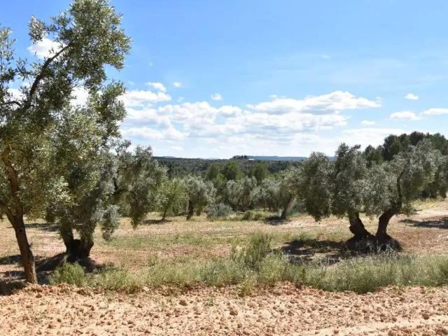 Casa en venta en Torre del Compte Teruel