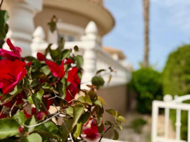 Casa en Venta en Torrevieja