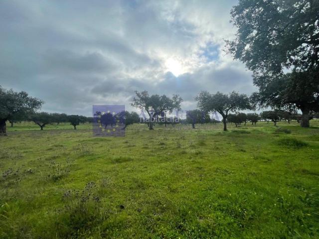 Casa en venta en Trujillo. VENTA DE FINCA CERCA DE TRUJILLO. Casas.