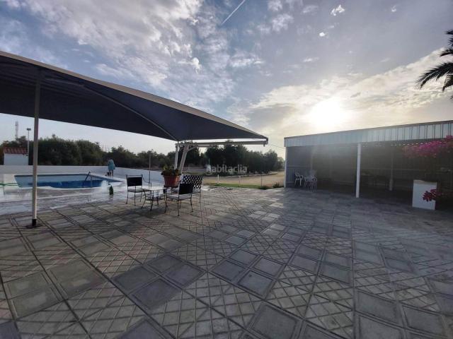 Casa en venta en Utrera, Pedanías Norte. FINCA EN VENTA A 3 MINUTOS DE UTRERA INVERSIÓN CON RENTABILIDAD INMEDIATA. Casas.