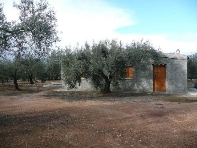 Casa en Venta en Ulldecona