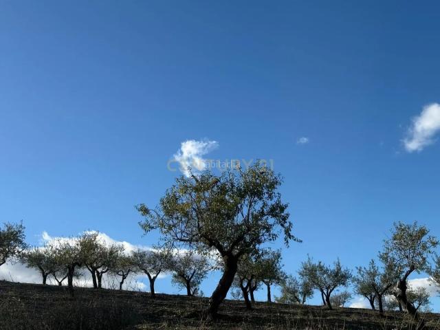 Casa en venta en Vélez Rubio. Terrenos de Inversión en la Naturaleza Almeriense!. Casas Vélez.