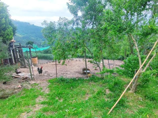 Casa en venta en Villaviciosa, Parroquias surorientales. CASA, PANERA Y FINCAS RÚSTICAS EN PRIESCAVILLAVICIOSAASTURIAS. Casas.