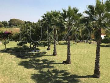 Casa en venta en Xochitepec