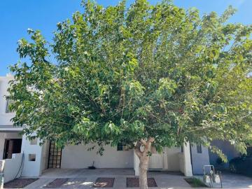 Casa en venta Fraccionamiento Cerrada los Olivos