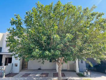 Casa en venta Fraccionamiento Cerrada los Olivos