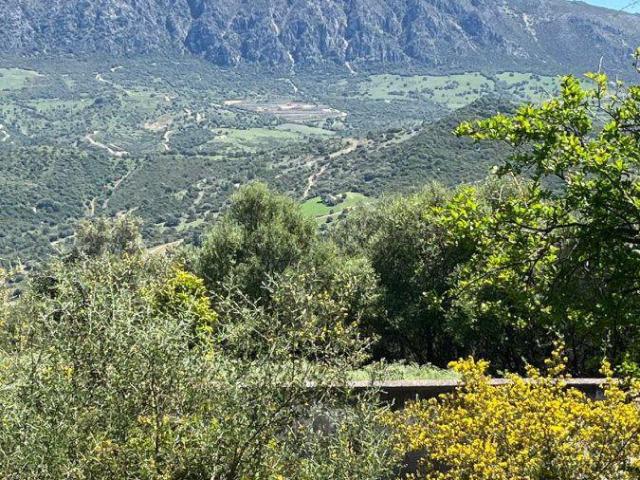 Casa en venta Gaucín