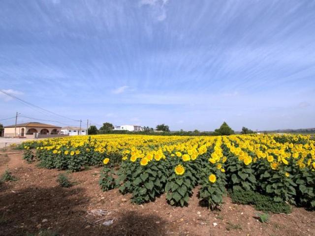 Casa en venta Jerez de la Frontera