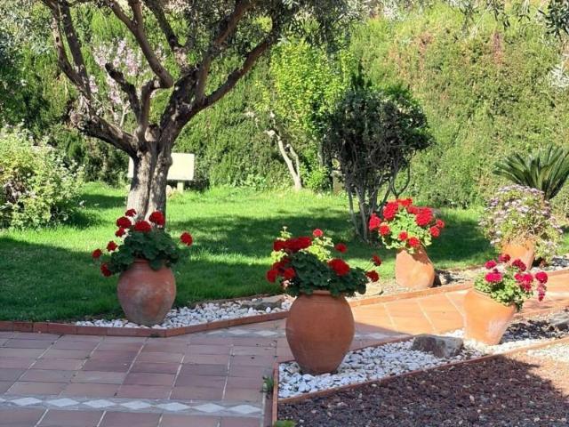 Casa en venta Puig