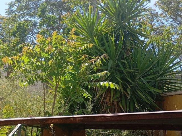 Casa en venta Peal de Becerro