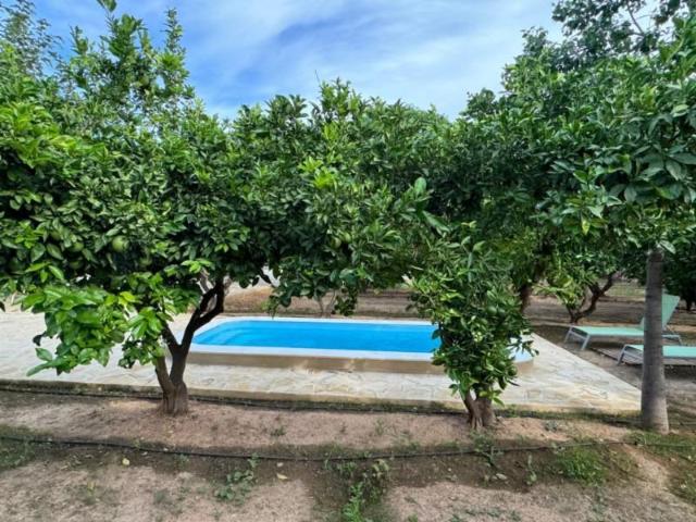 Casa en venta Pedreguer