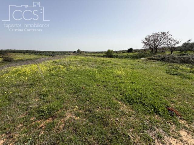 Casa en venta Pilas