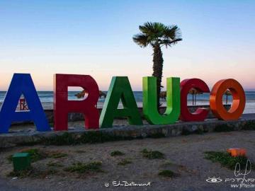 Ruta P 330/P 40, Arauco