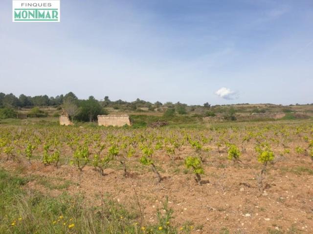 Casa en venta Renau