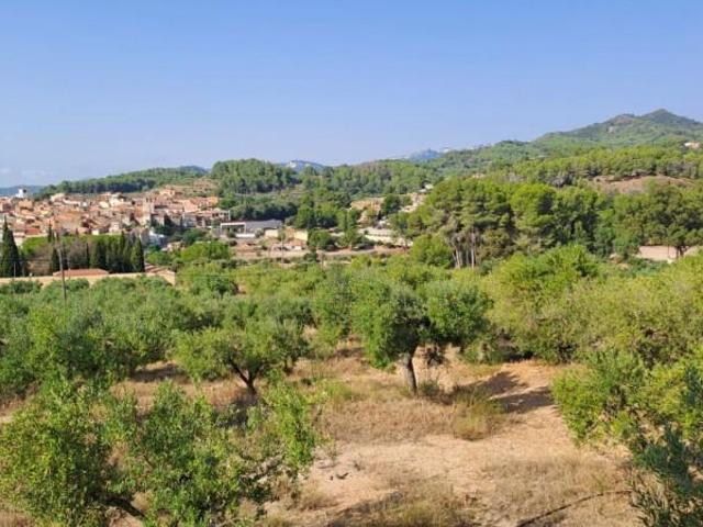 Casa en venta Riudecanyes