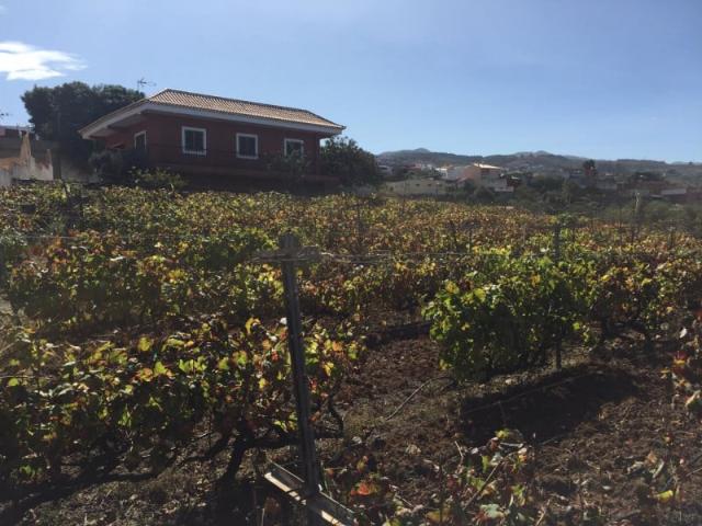 Casa en venta Tacoronte