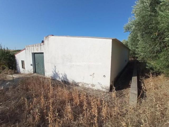 Casa en venta Talavera de la Reina