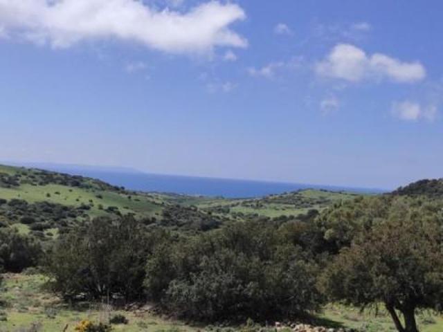 Casa en venta Tarifa