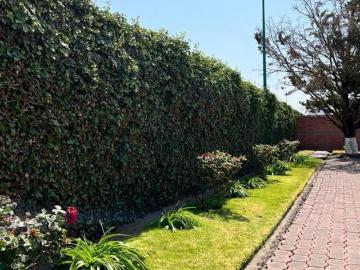 Casa en venta Texcoco, Estado de México