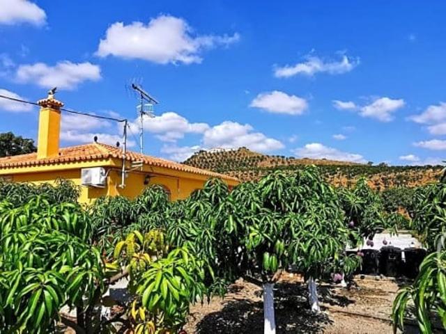 Casa en venta Vélez Málaga