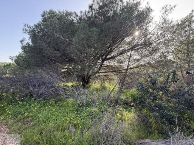 Casa en venta Villablanca