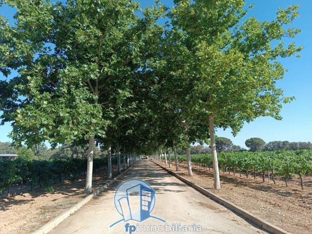 Casa en venta Villarrobledo