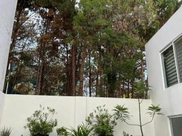 Casa en Venta y Renta en Lomas 3ra Sección, San Luis Potosí Amplia y Bien Ubicada