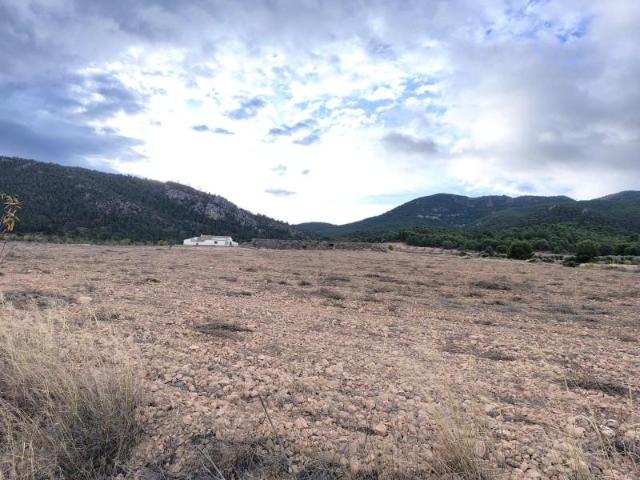 Casa en venta Yecla