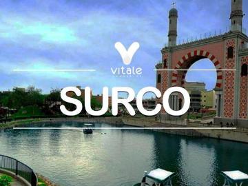 Casa en venta 8 dormitorios, calle cerro hermoso, surco