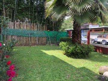 Casa Fraccionamiento Araucarias