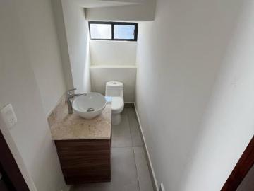 Casa Fraccionamiento Los Encinos