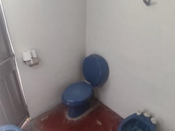 Casa + Galpón