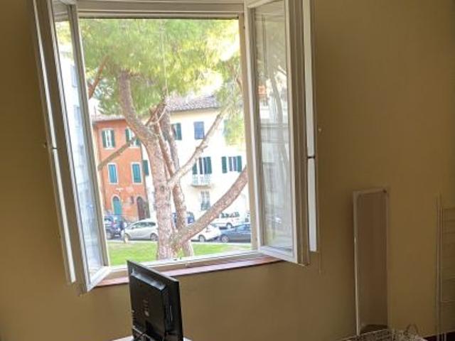 Casa in affitto in centro a Pisa