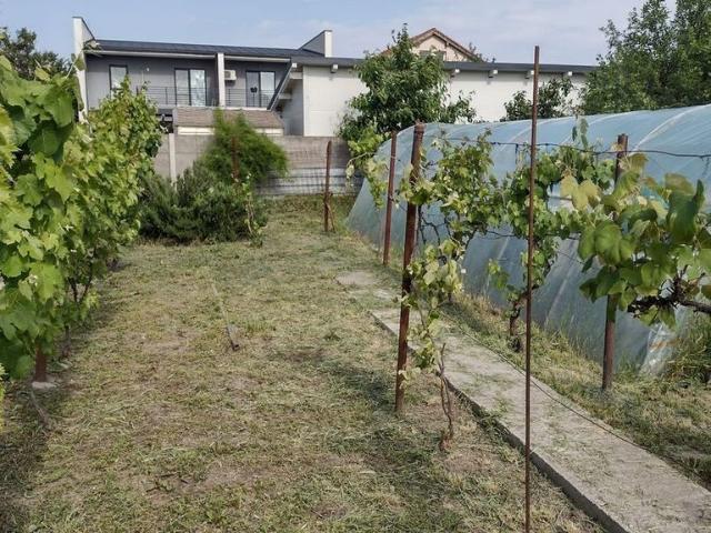Casa individuala cu teren mare Zona Mehala