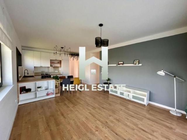 Casa individuala cu 4 camere si 640 mp gradina in Mosnita Noua