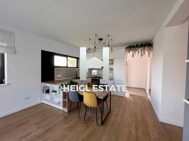 Casa individuala cu 4 camere si 640 mp gradina in Mosnita Noua