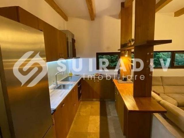 Casa individuala de inchiriat, curte generoasa, sauna Faget