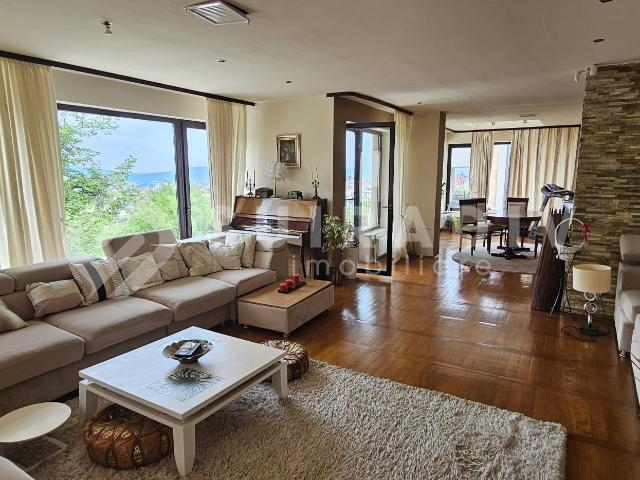 Casa individuala, pet friendly, 7 camere, 5 bai, 5 parcari,curte, rooftop Europa