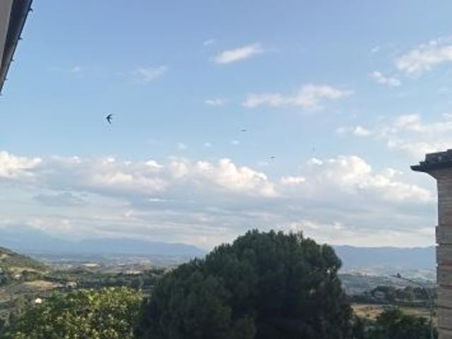Casa indipendente