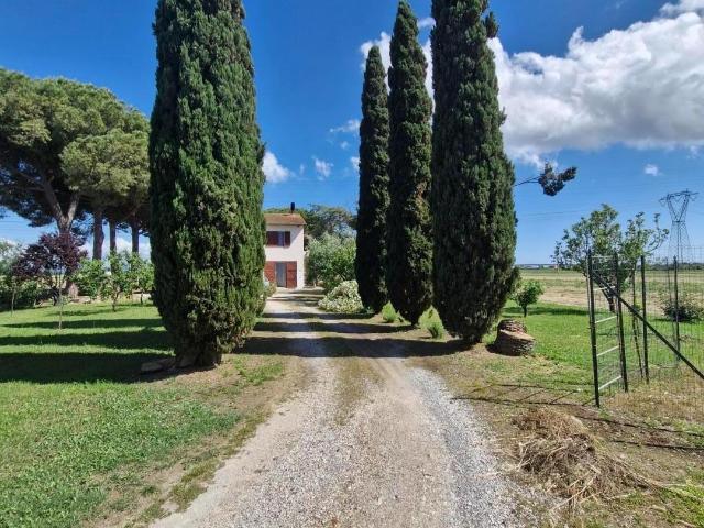Casa indipendente con giardino, Campiglia Marittima venturina