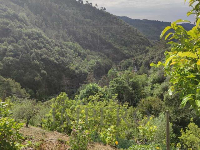 Casa indipendente con giardino in strada provinciale, Dolceacqua