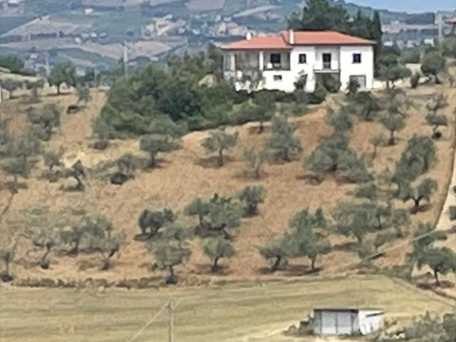 Casa indipendente con giardino in via belvedere 27, Collecorvino