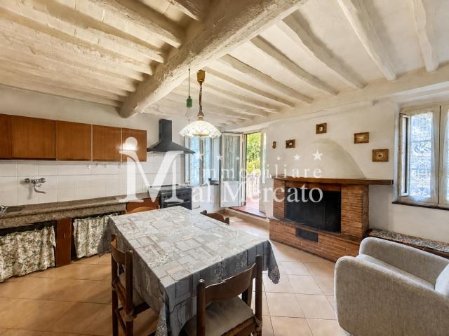 Casa indipendente con giardino, Lucca piazzano