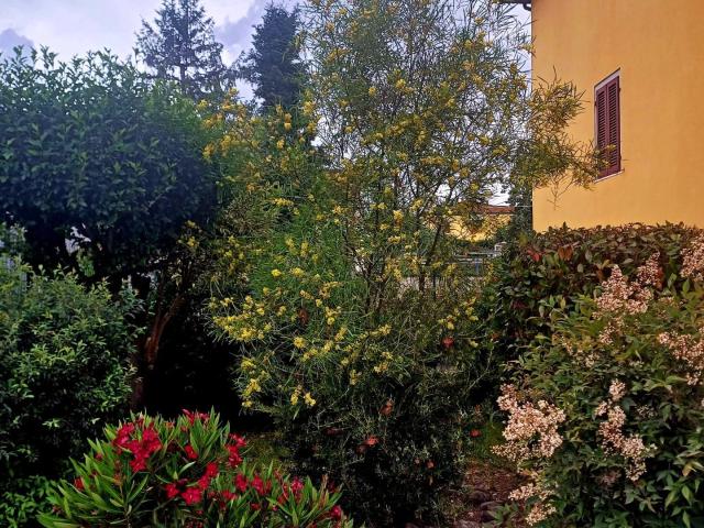 Casa indipendente con giardino, Santa Croce sull'Arno staffoli