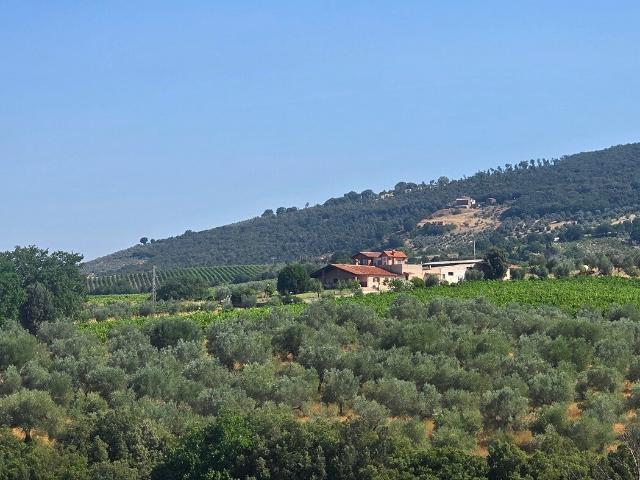 Casa indipendente con terrazzo in via selvarella 2 6, Montecchio