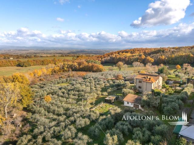 Casa indipendente con uliveto vicino Montepulciano, Siena. 370m² Montepulciano