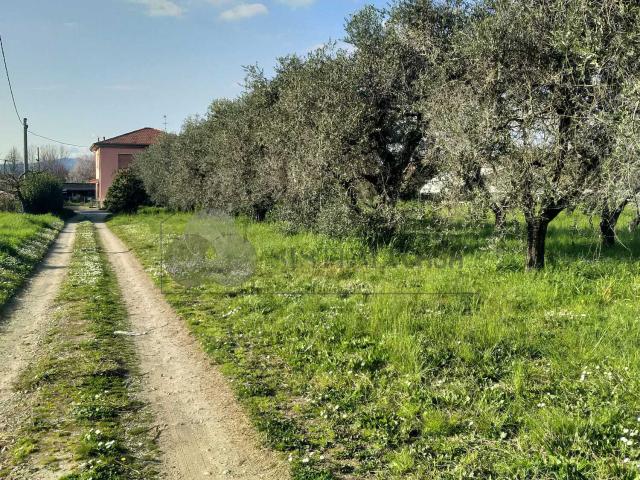 Casa indipendente da ristrutturare in via ghiarettolo 138, Sarzana