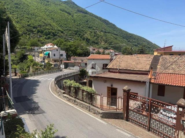 Casa indipendente in vendita a Corbara SA