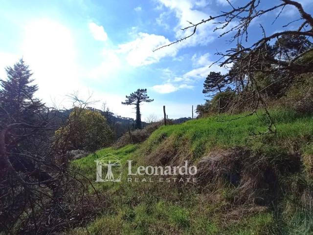 Casa indipendente in vendita a Camaiore LU