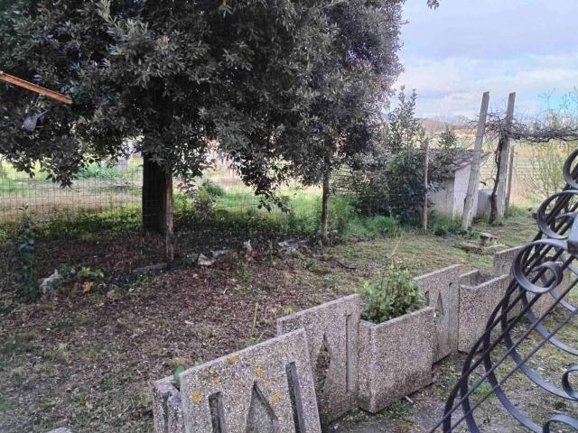 Casa indipendente in vendita a Cannara PG